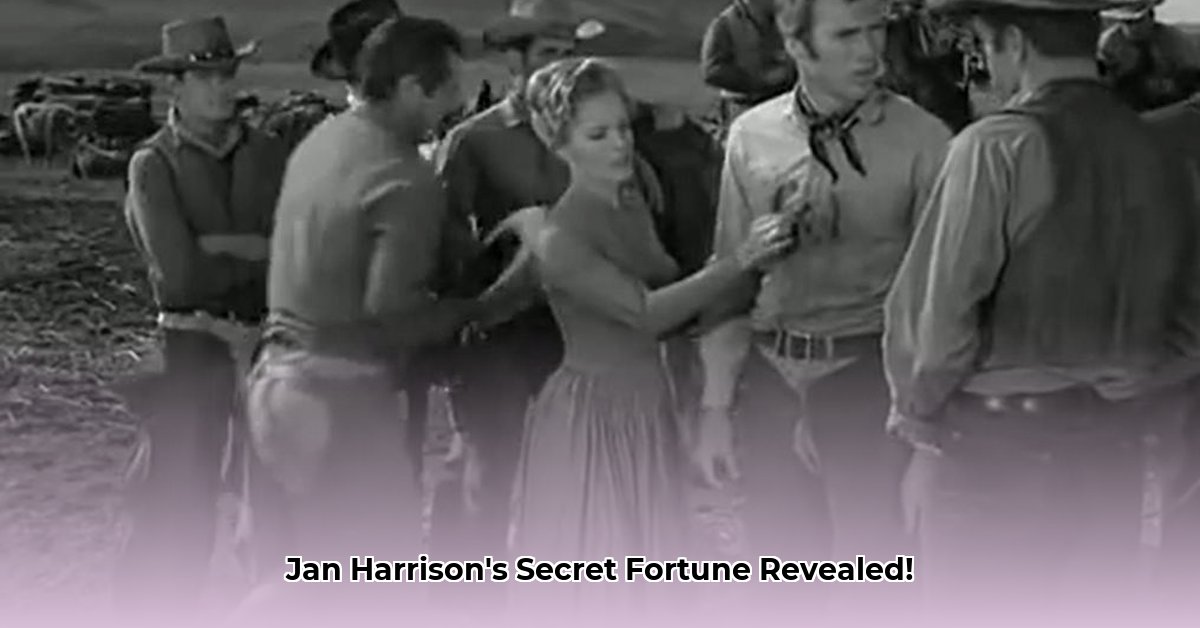 jan-harrison-net-worth